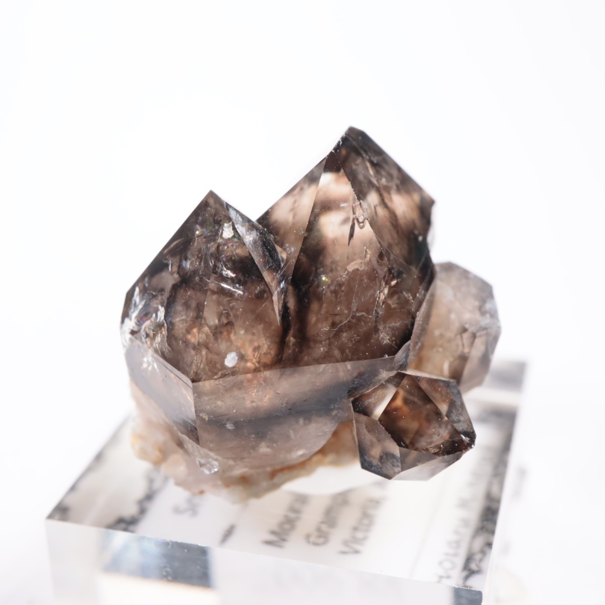 �������ȥ�ꥢ�� ����徽