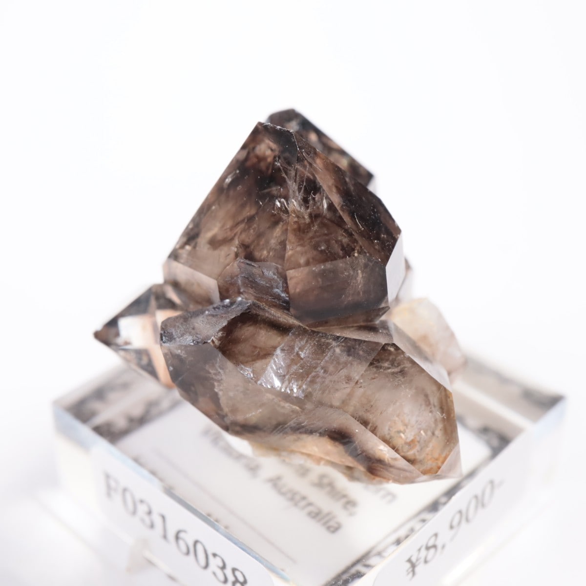 �������ȥ�ꥢ�� ����徽