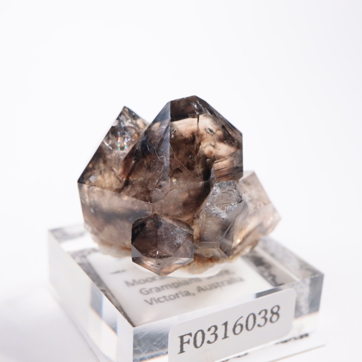 �������ȥ�ꥢ�� ����徽