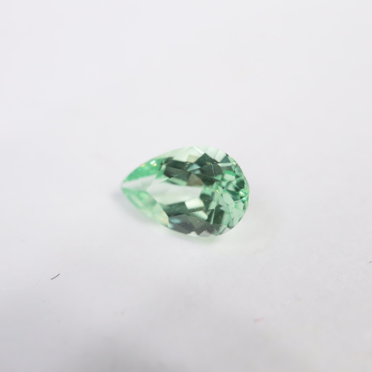 ���󥶥˥������ߥ�ȥ����ͥå�