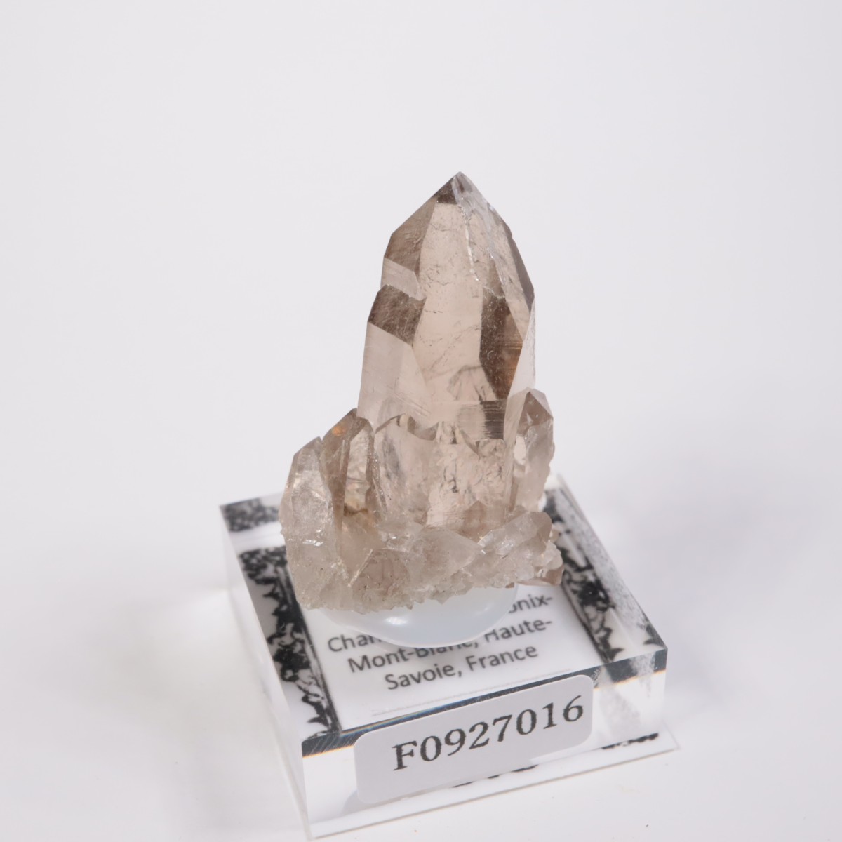 ���֥�� ���⡼������������