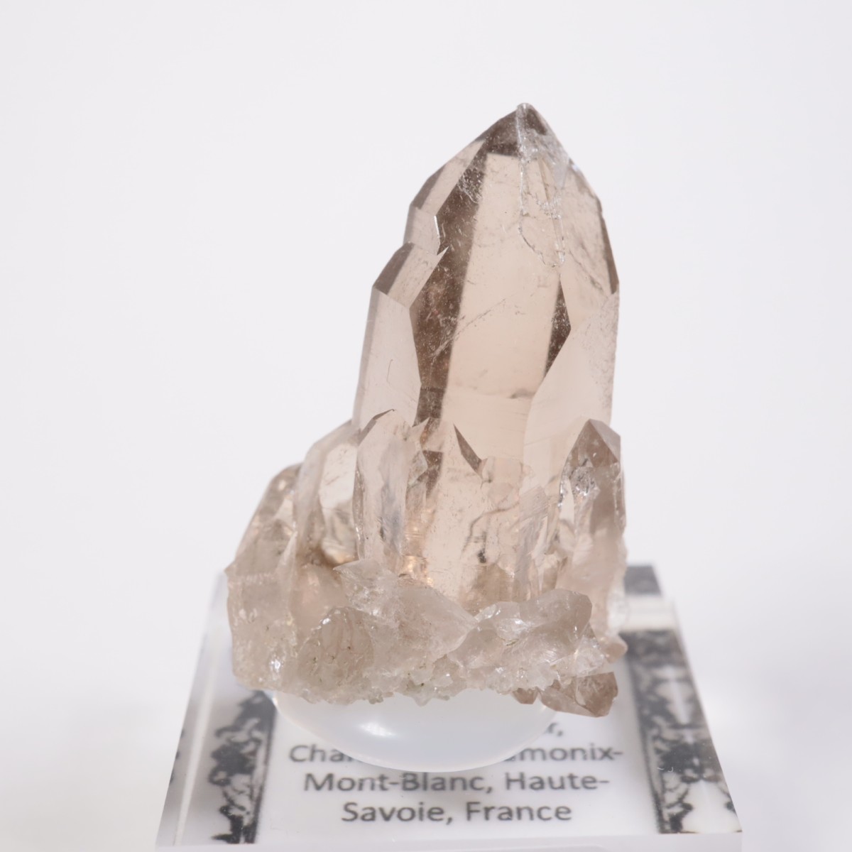 ���֥�� ���⡼������������