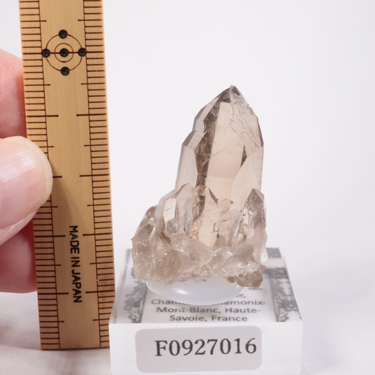 ���֥�� ���⡼������������