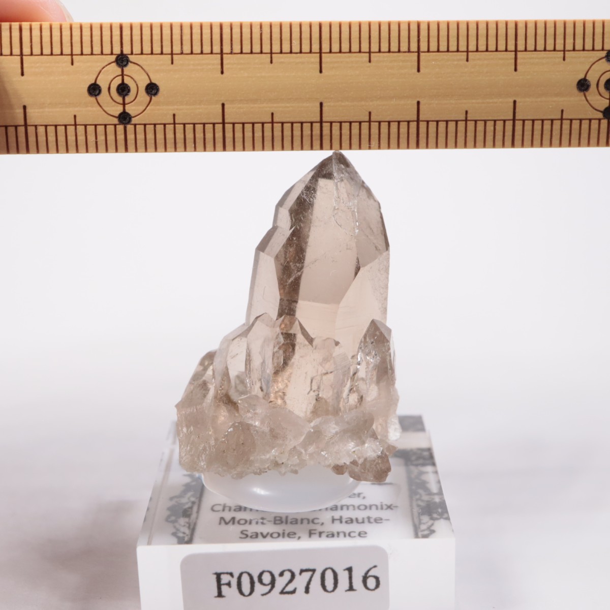 ���֥�� ���⡼������������