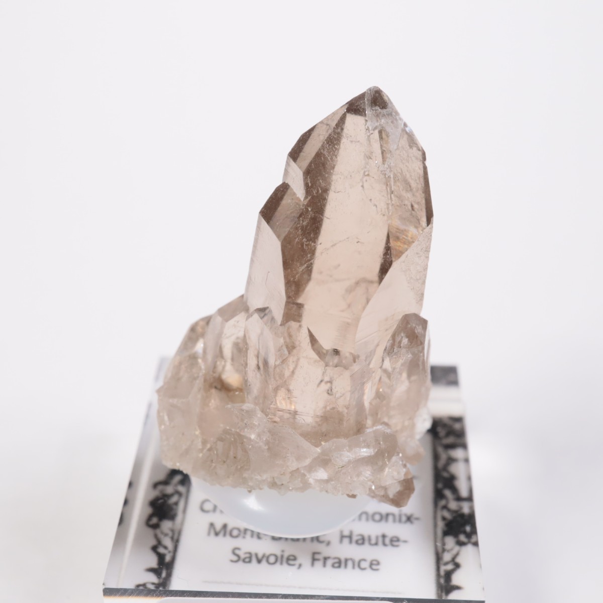 ���֥�� ���⡼������������