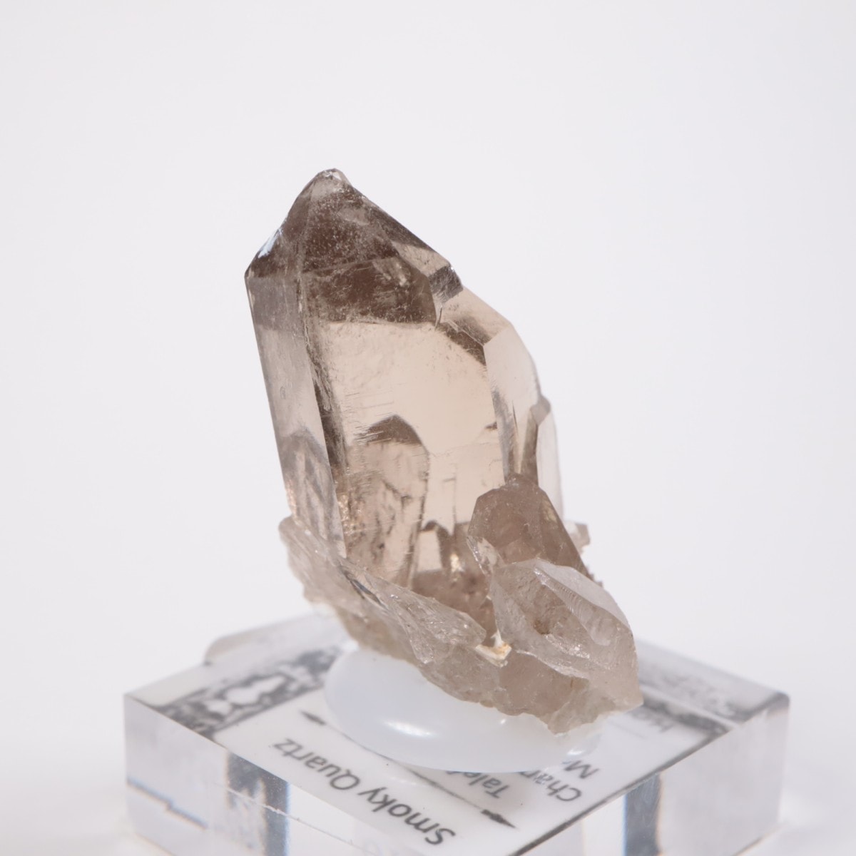 ���֥�� ���⡼������������