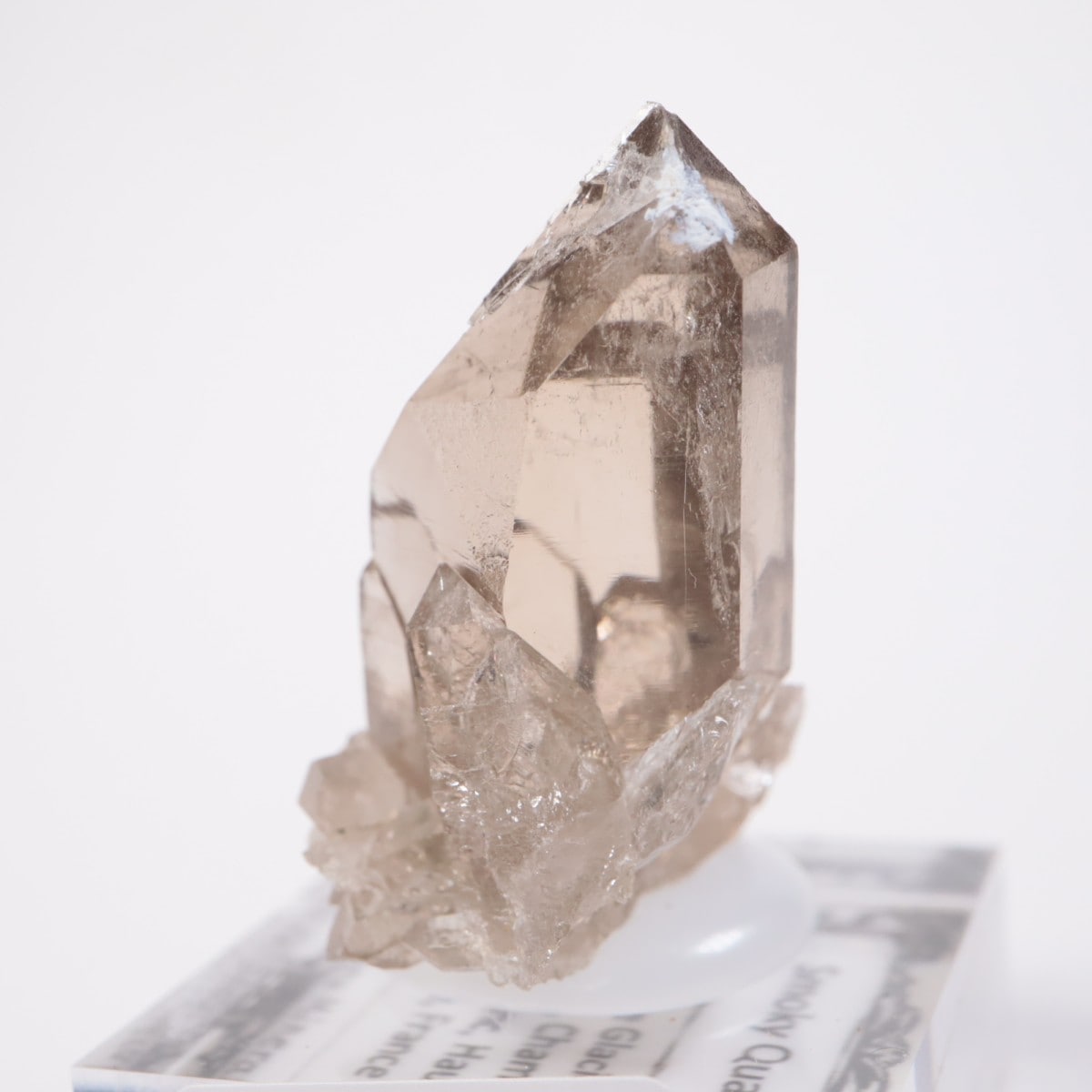 ���֥�� ���⡼������������