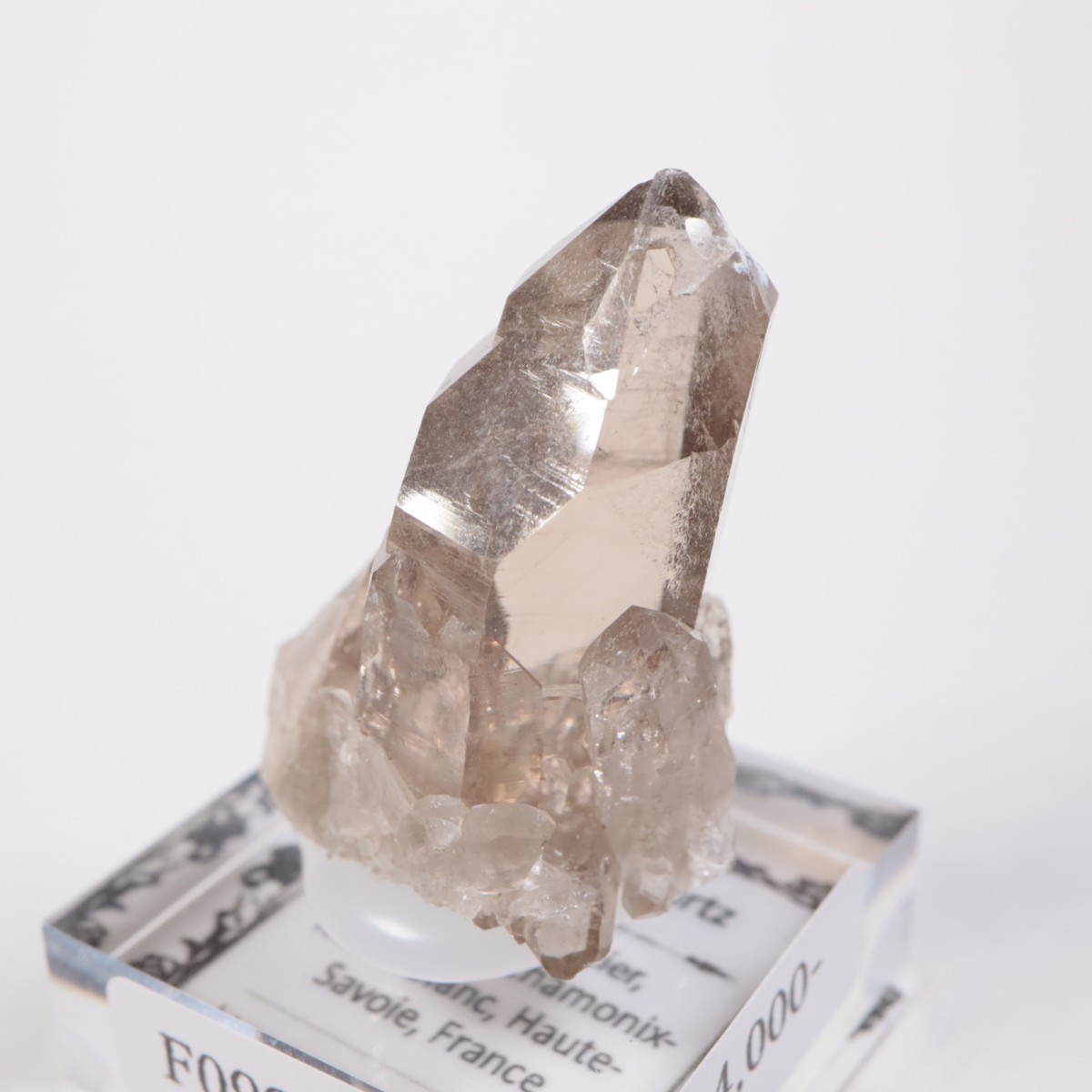 ���֥�� ���⡼������������