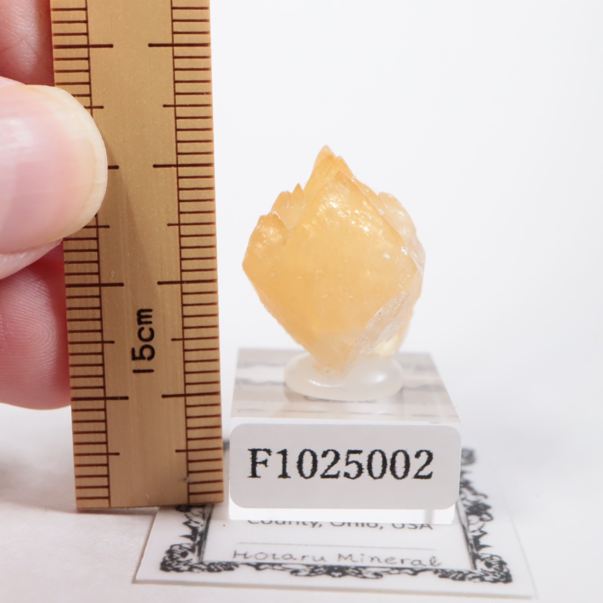 ���ϥ����� ���륵����