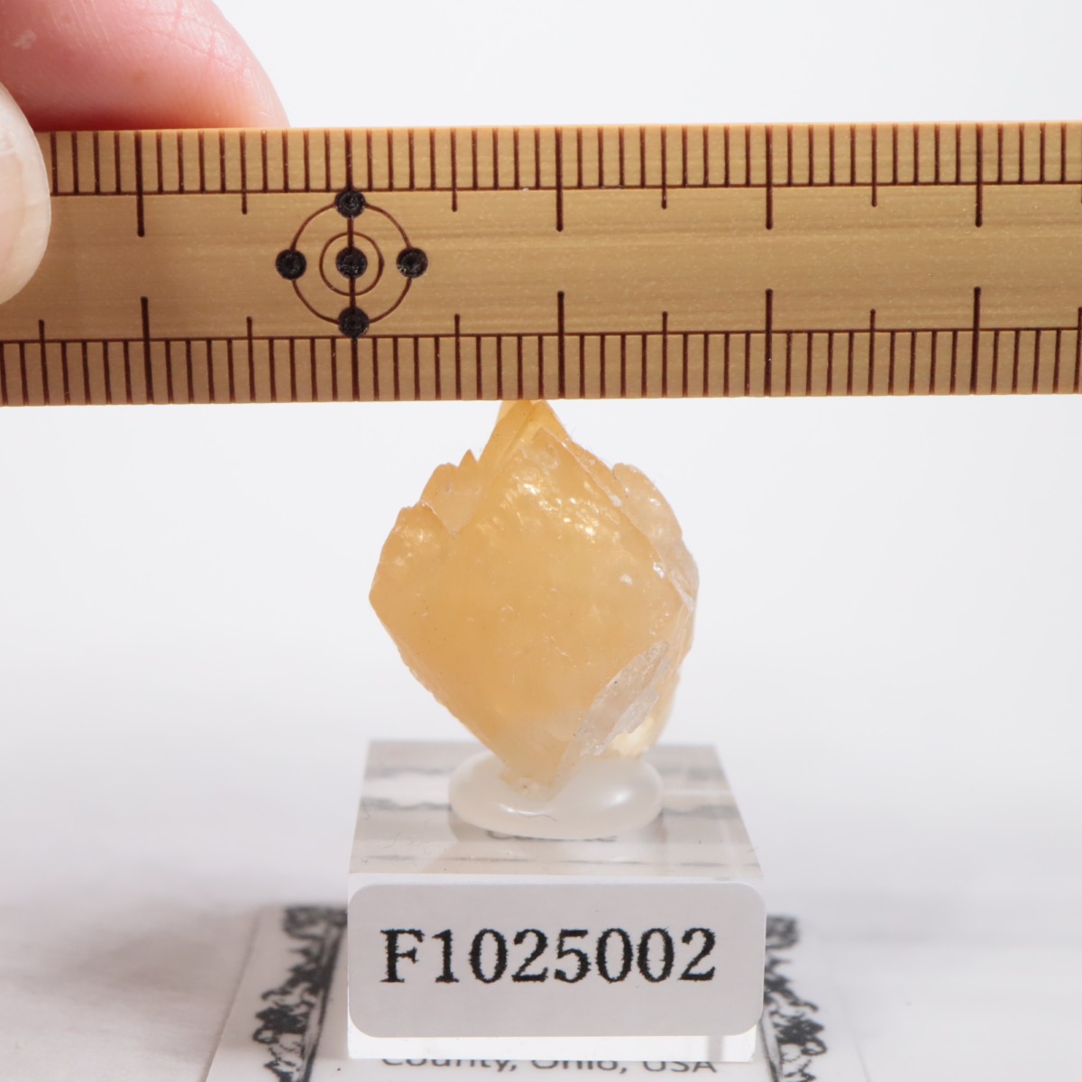 ���ϥ����� ���륵����