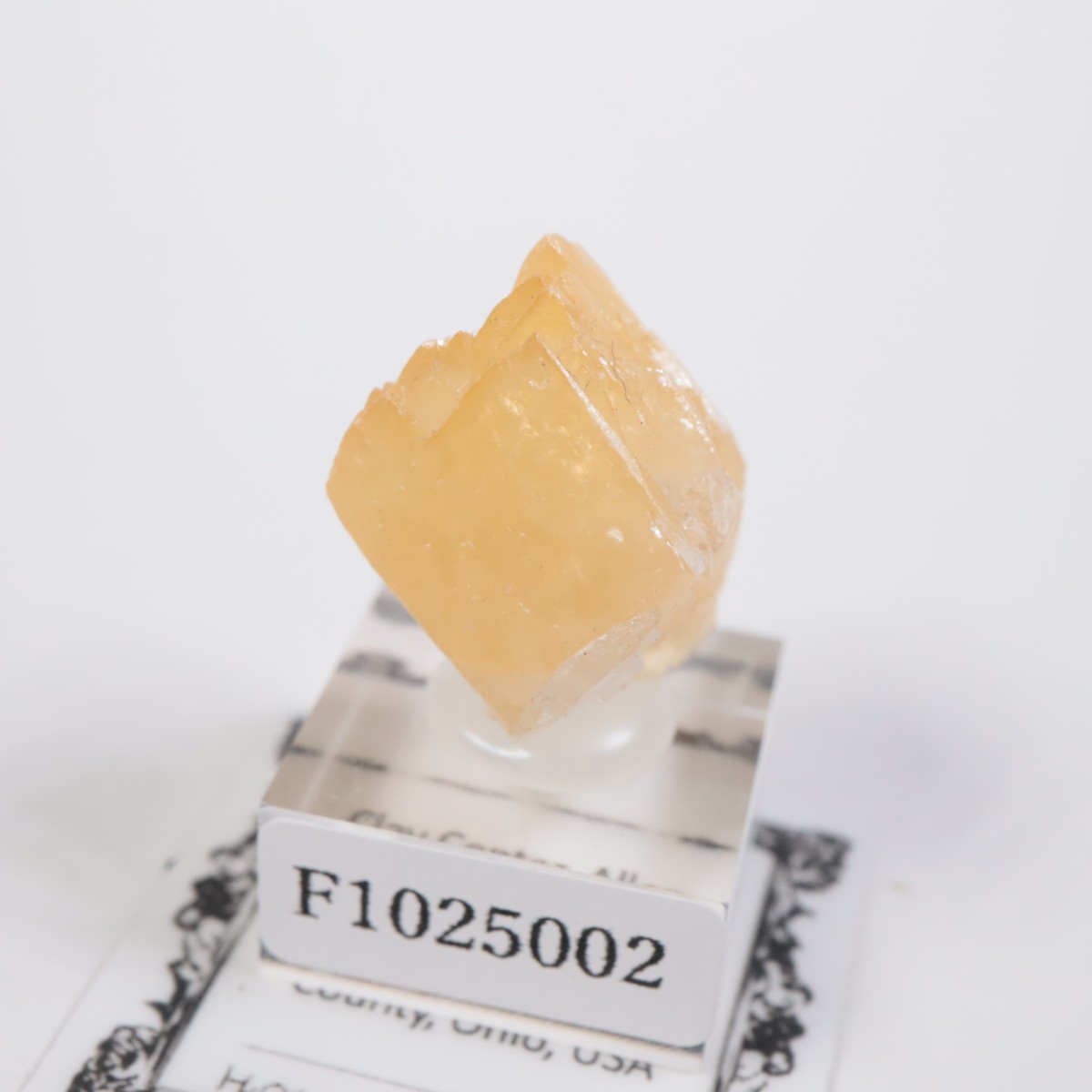 ���ϥ����� ���륵����