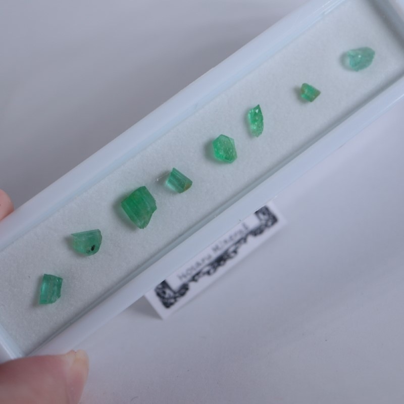 �ѥ������󻺥�����ɥ��å�