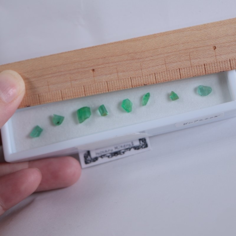 �ѥ������󻺥�����ɥ��å�