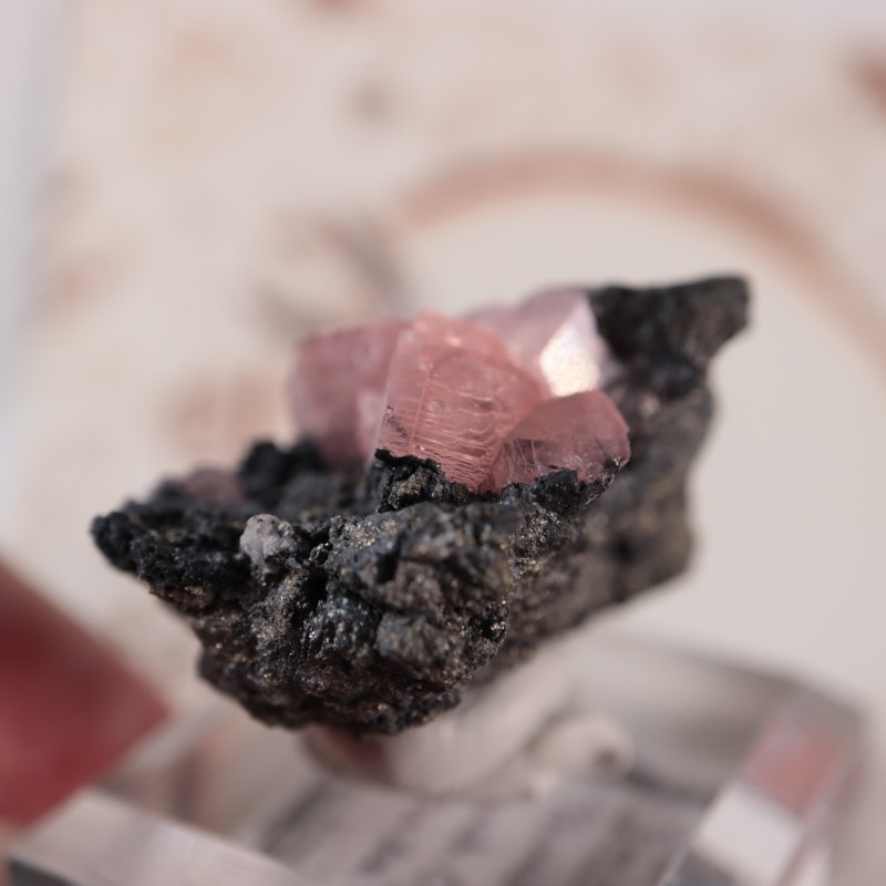 �ĥ�ֹۻ������Х�ȥ��ߥ��ʥ���