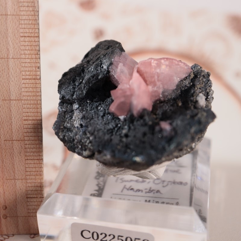 �ĥ�ֹۻ������Х�ȥ��ߥ��ʥ���