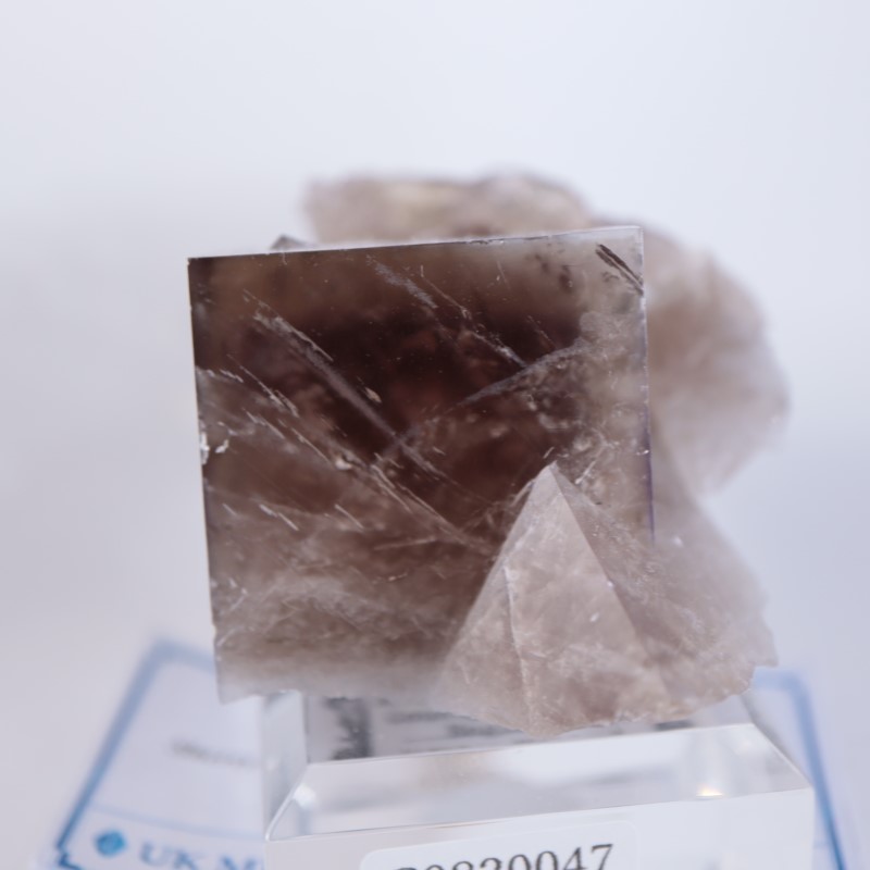 シェリーツインズポケット 蛍石 | 鉱物標本,ハ行,フローライト/蛍石