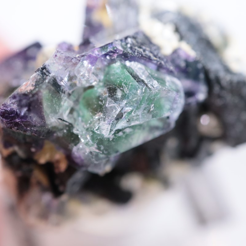 �����󥴹ۻ����ե����饤��