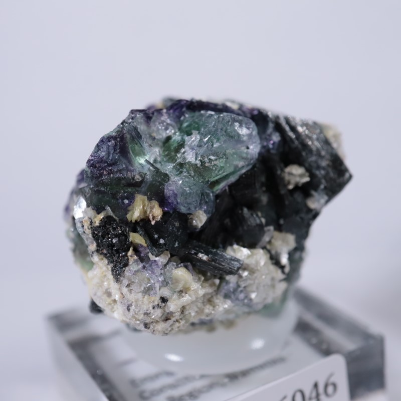 �����󥴹ۻ����ե����饤��