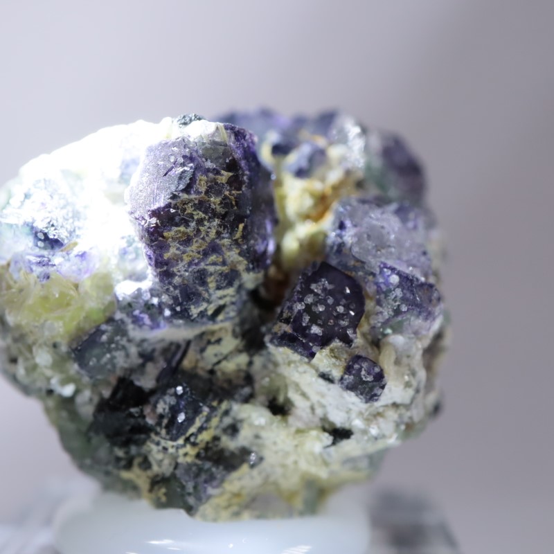 �����󥴹ۻ����ե����饤��