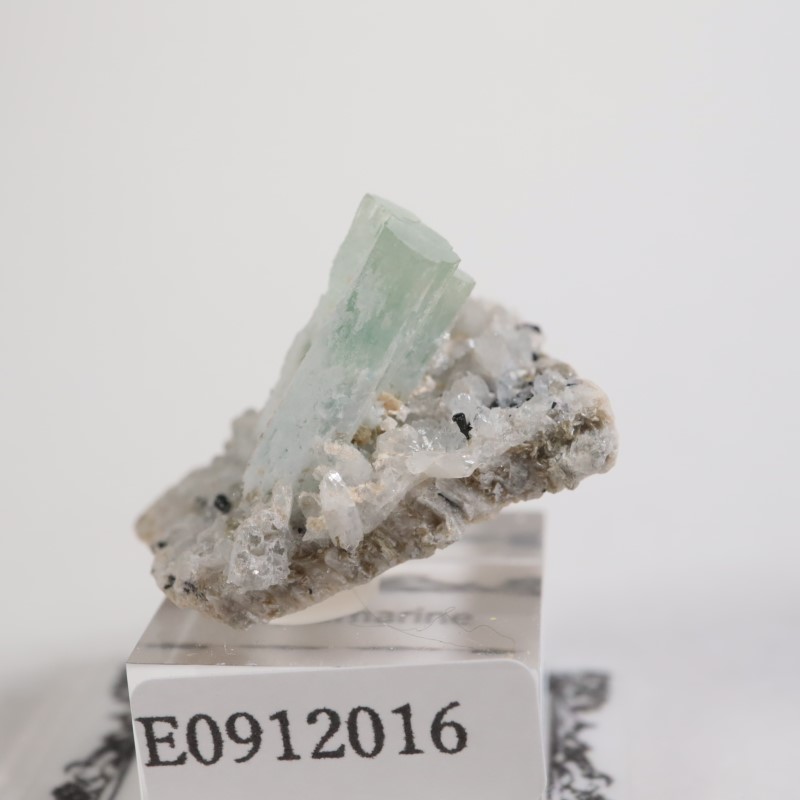 �����󥴹ۻ��� �������ޥ��