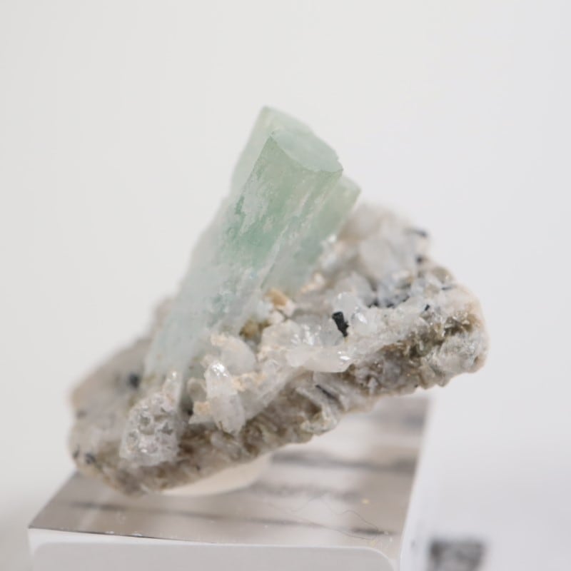 �����󥴹ۻ��� �������ޥ��