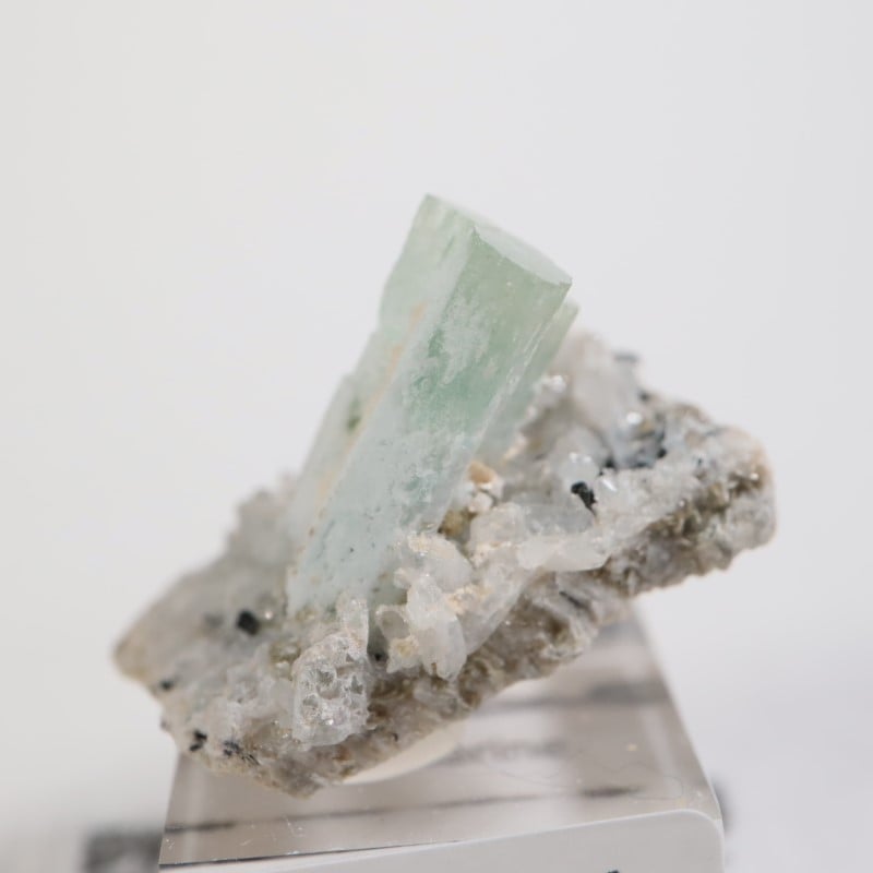 �����󥴹ۻ��� �������ޥ��