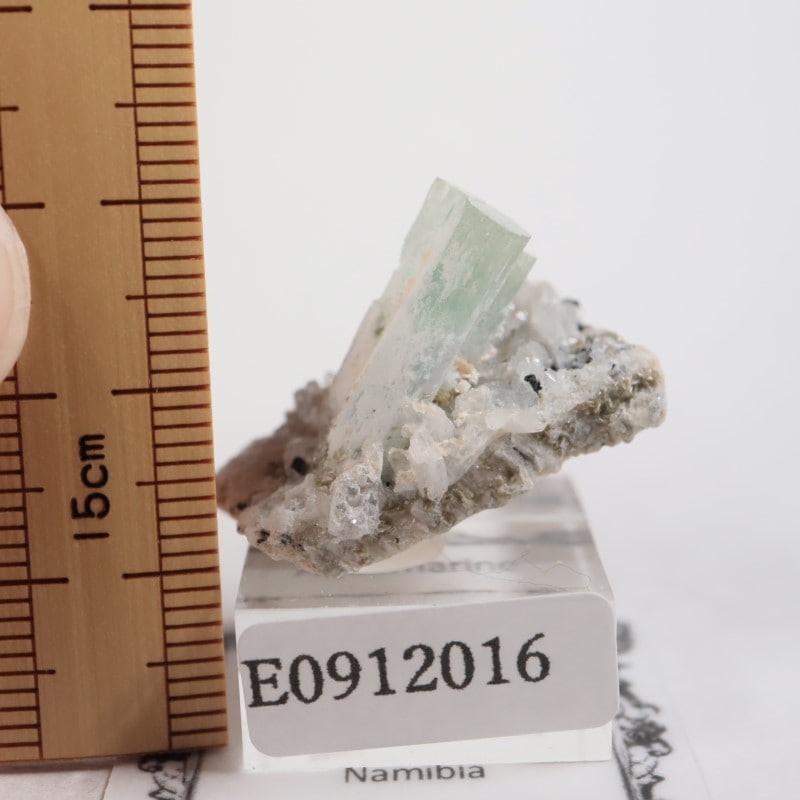 �����󥴹ۻ��� �������ޥ��