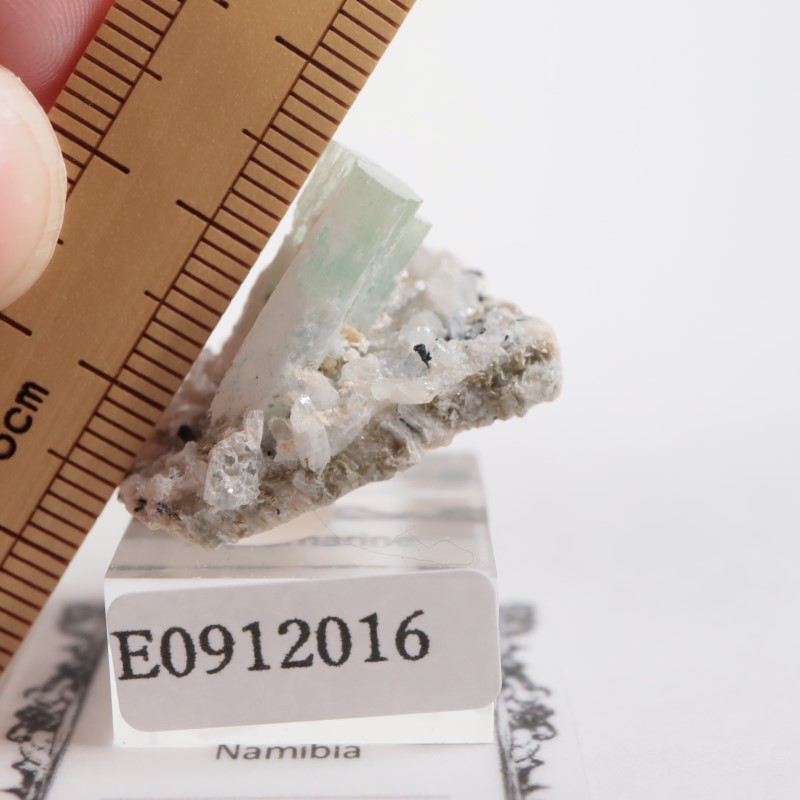 �����󥴹ۻ��� �������ޥ��