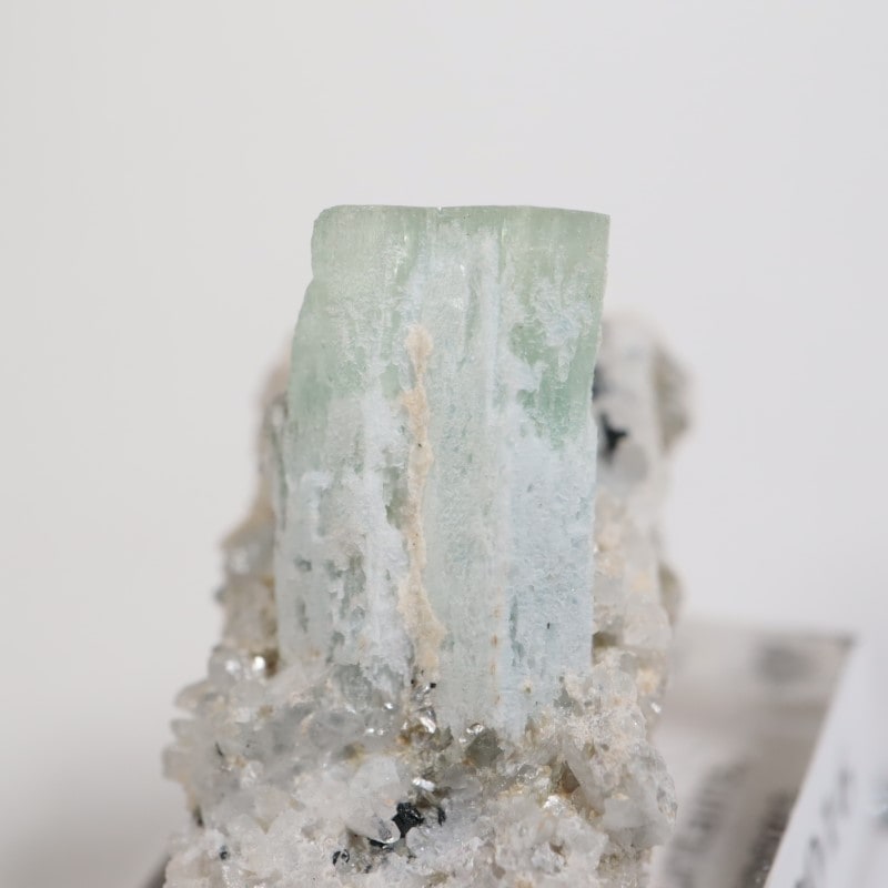 �����󥴹ۻ��� �������ޥ��