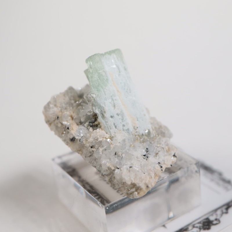 �����󥴹ۻ��� �������ޥ��