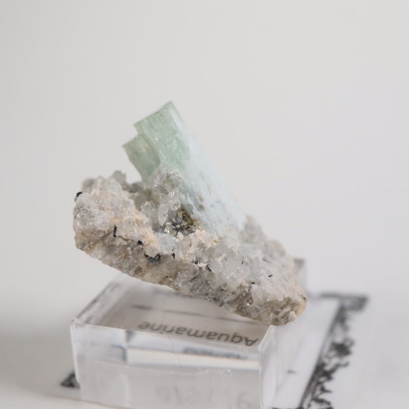 �����󥴹ۻ��� �������ޥ��