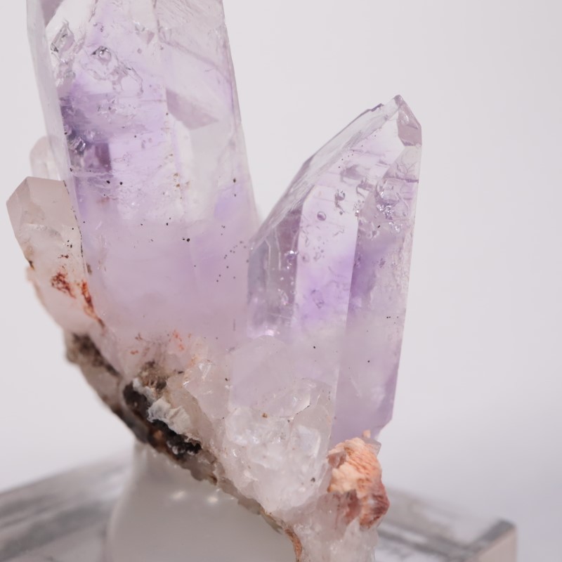 �֥��ɥС������������ꥢ�᥷����