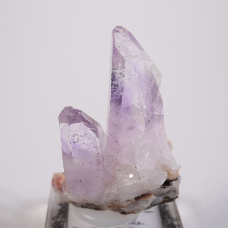 �֥��ɥС������������ꥢ�᥷����