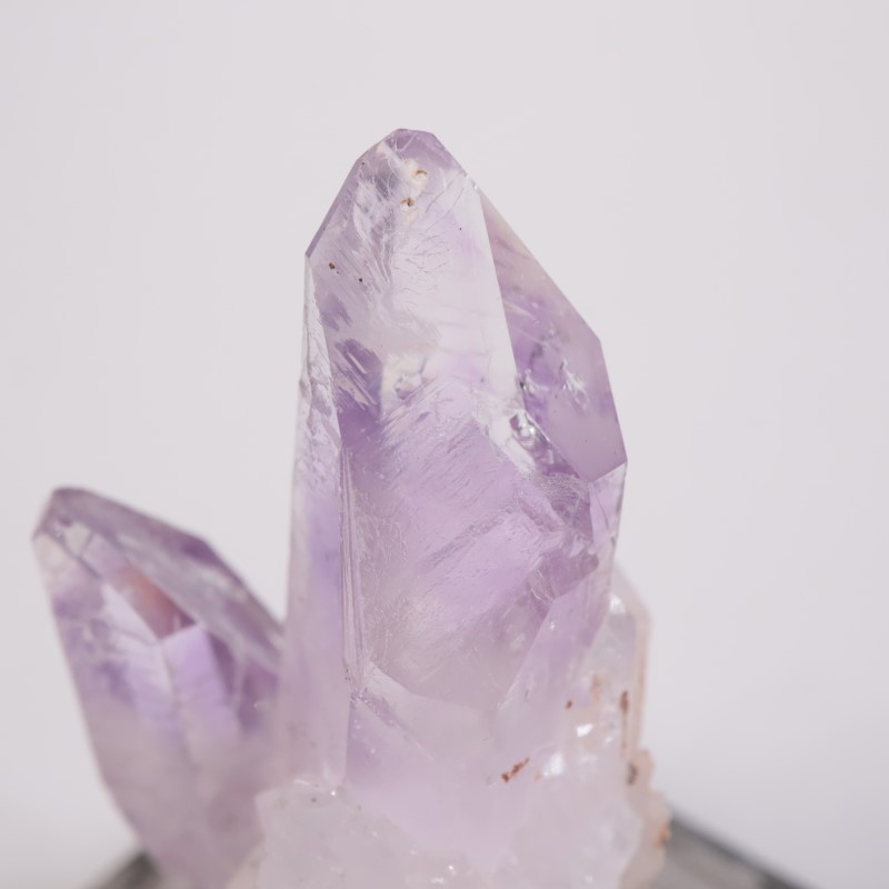 �֥��ɥС������������ꥢ�᥷����