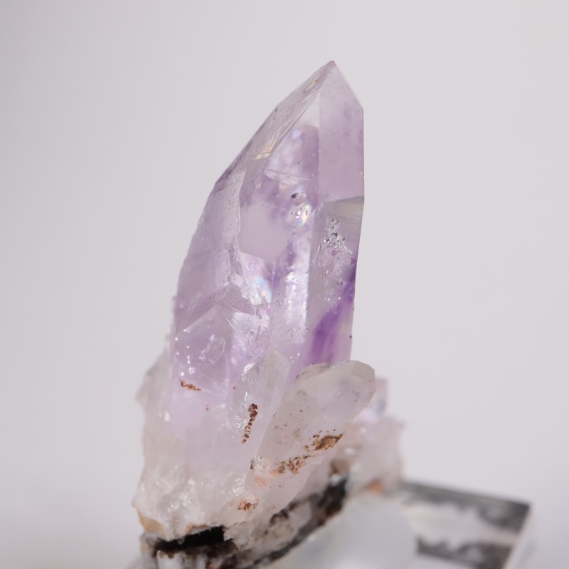 �֥��ɥС������������ꥢ�᥷����