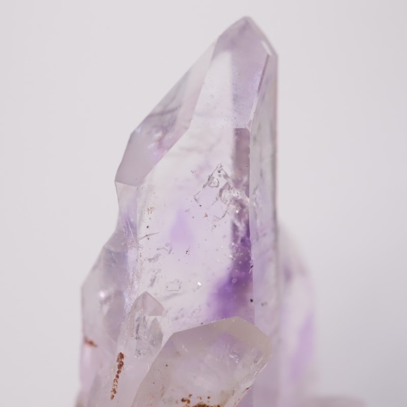 �֥��ɥС������������ꥢ�᥷����