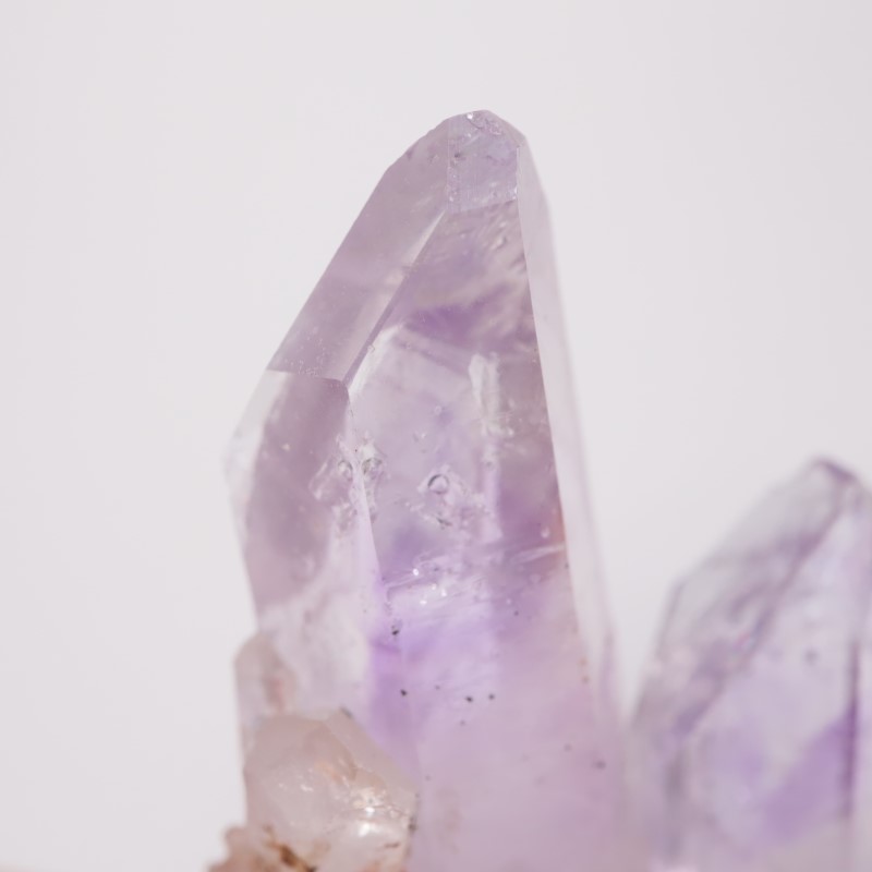 �֥��ɥС������������ꥢ�᥷����