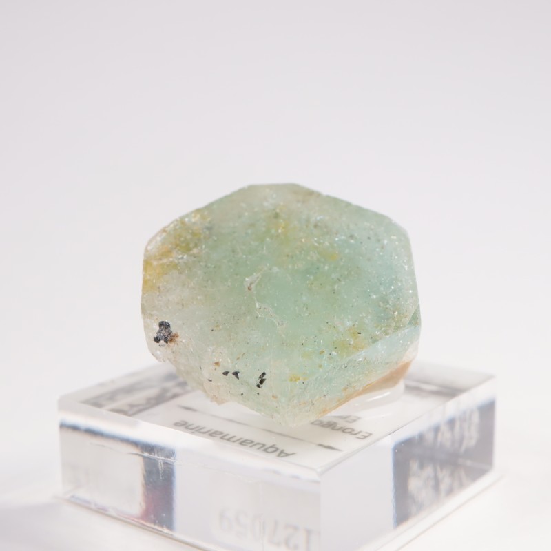 �ʥߥӥ��� �������ޥ��