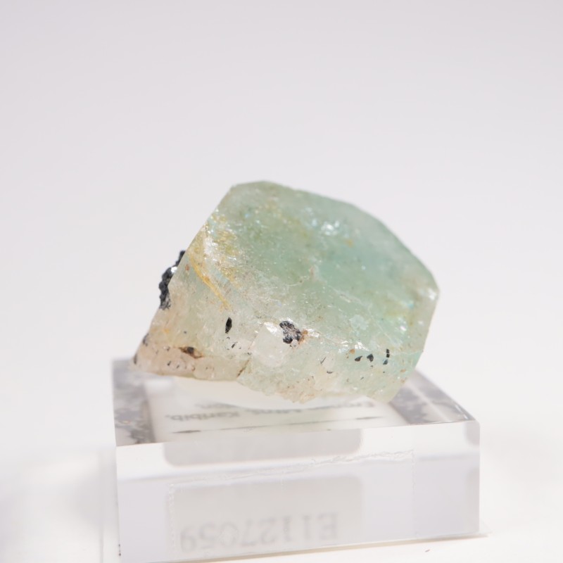 �ʥߥӥ��� �������ޥ��