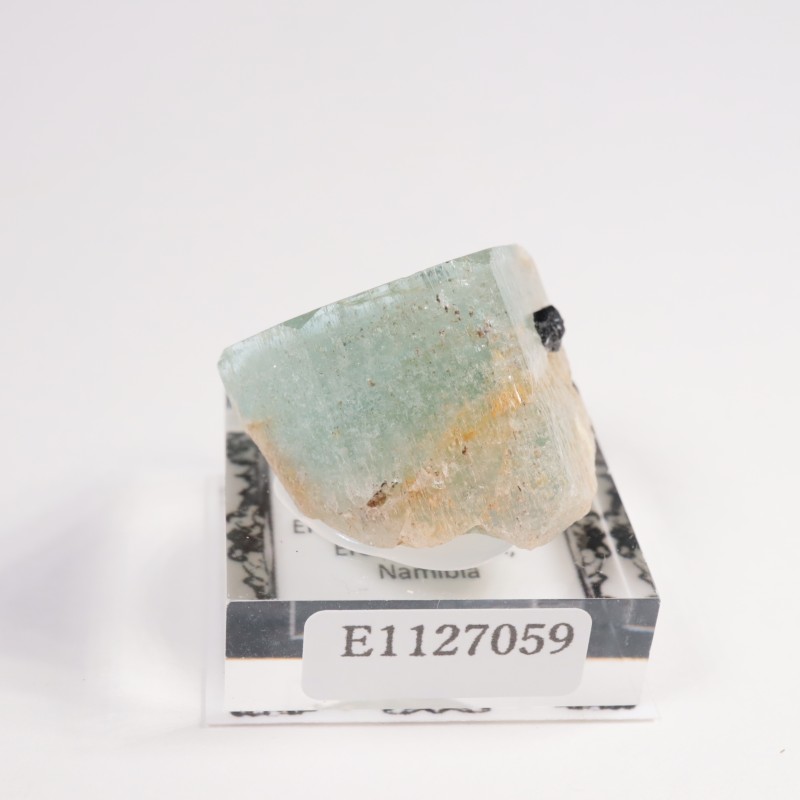 �ʥߥӥ��� �������ޥ��