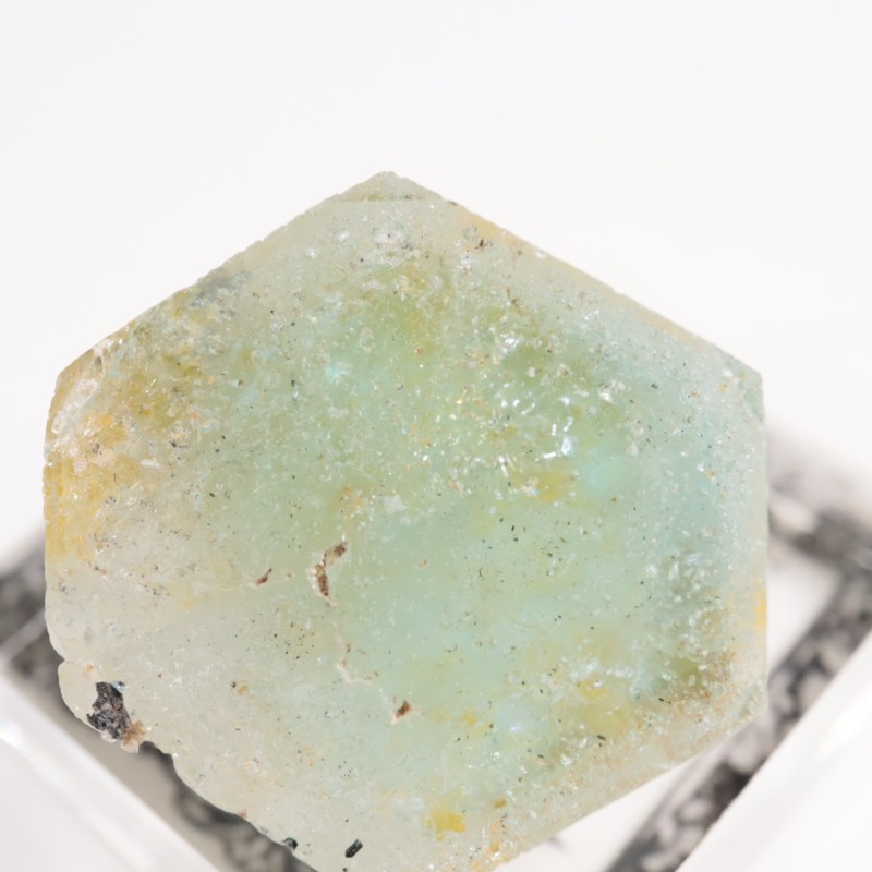 �ʥߥӥ��� �������ޥ��