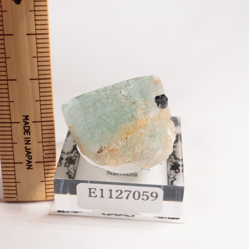 �ʥߥӥ��� �������ޥ��