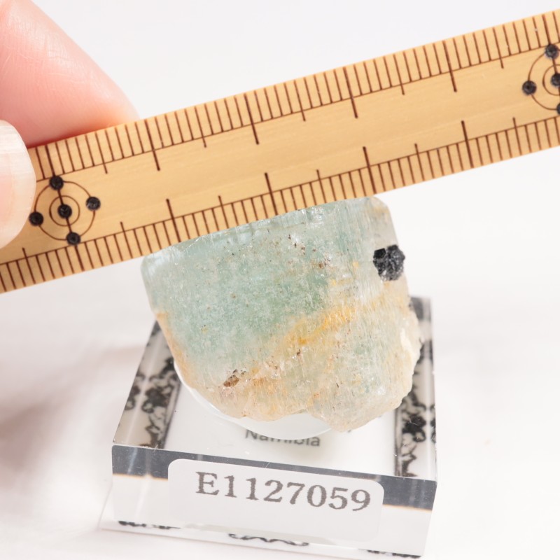 �ʥߥӥ��� �������ޥ��