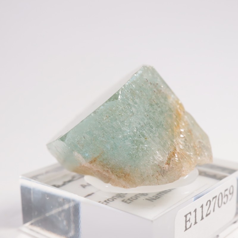 �ʥߥӥ��� �������ޥ��