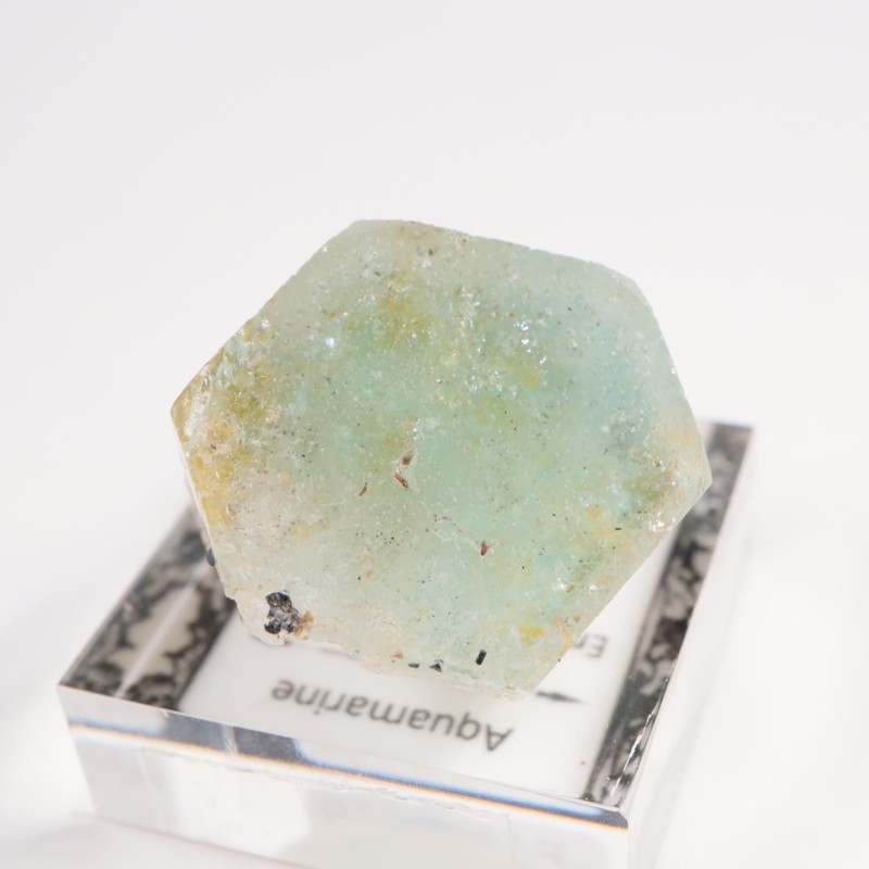 �ʥߥӥ��� �������ޥ��