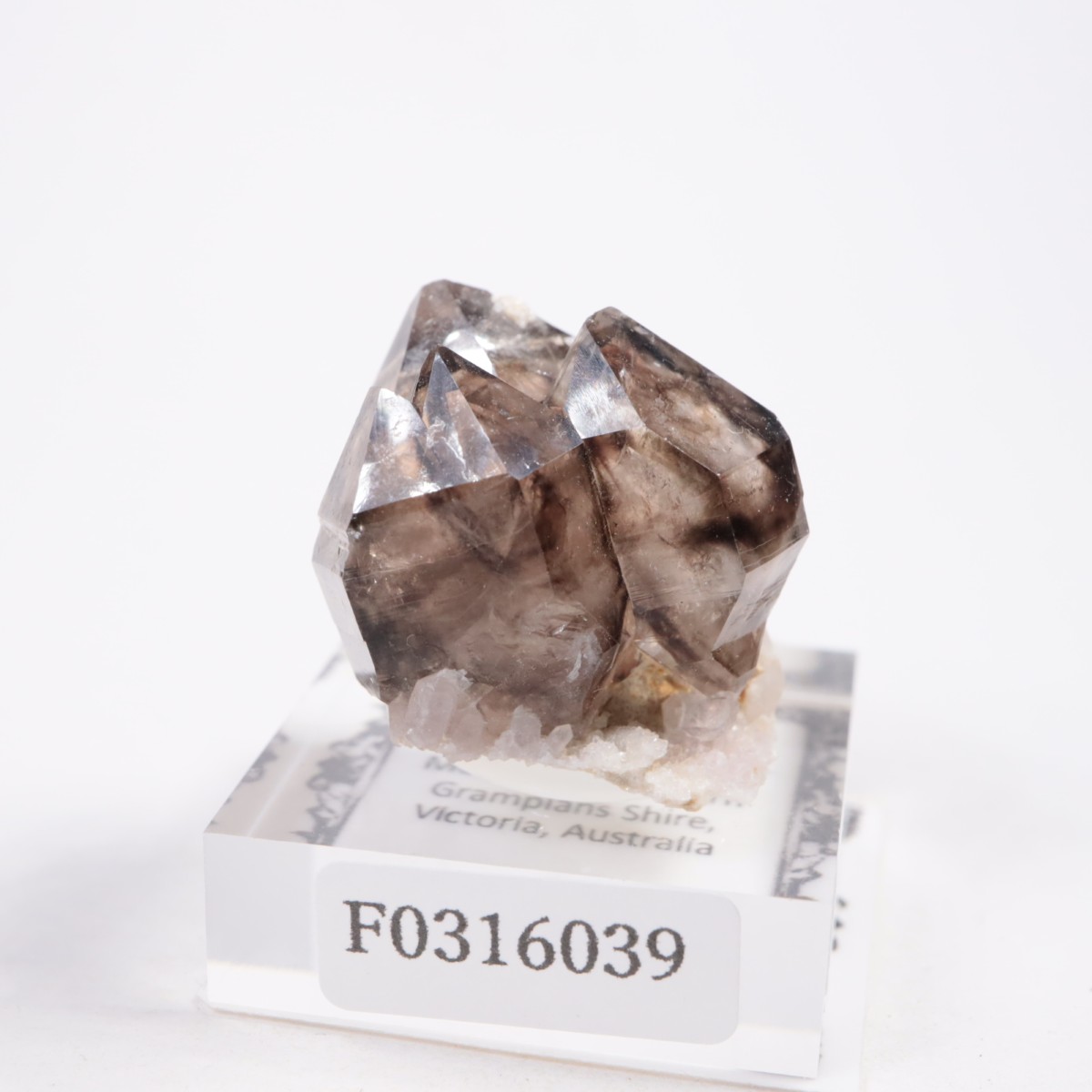 �������ȥ�ꥢ�� ����徽