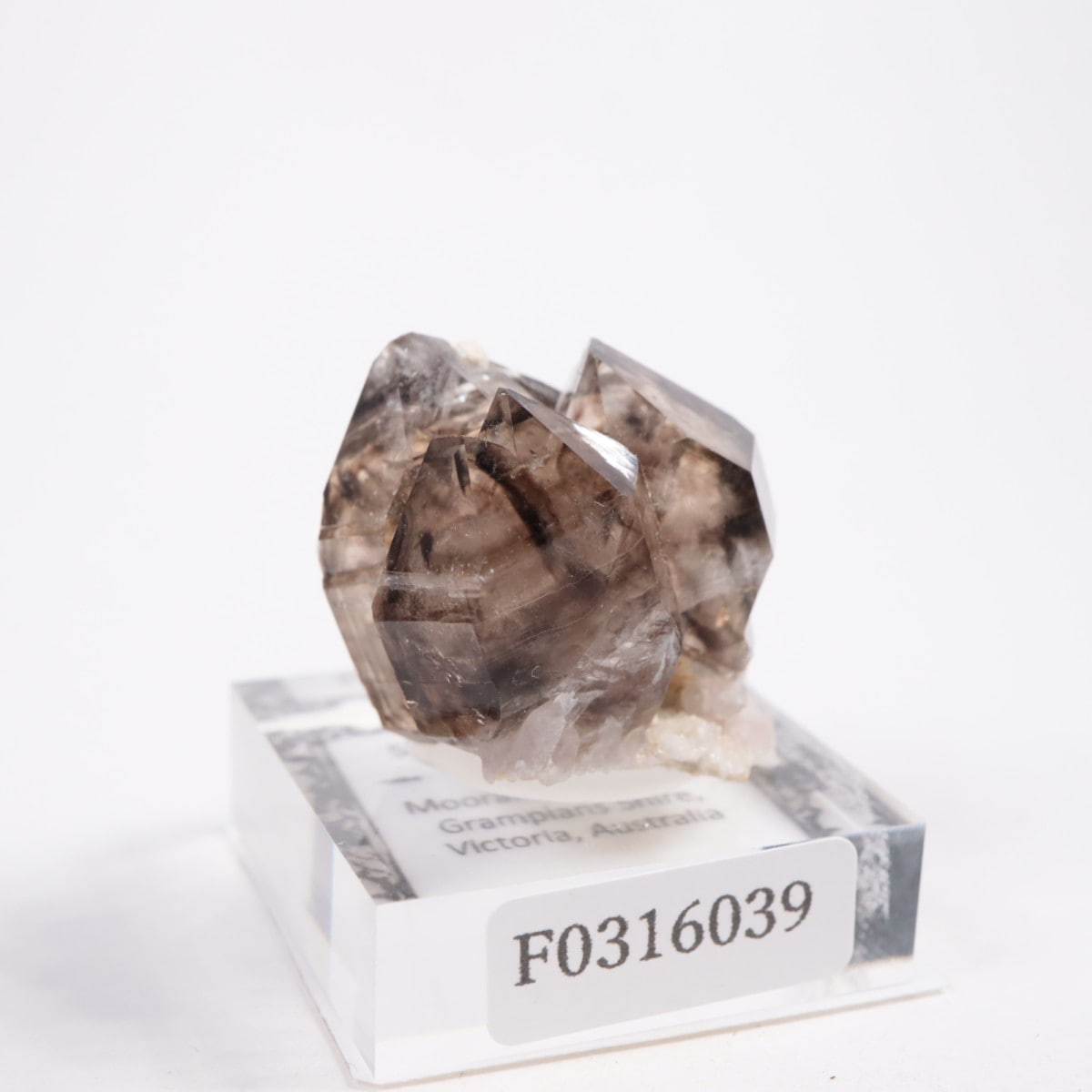 �������ȥ�ꥢ�� ����徽