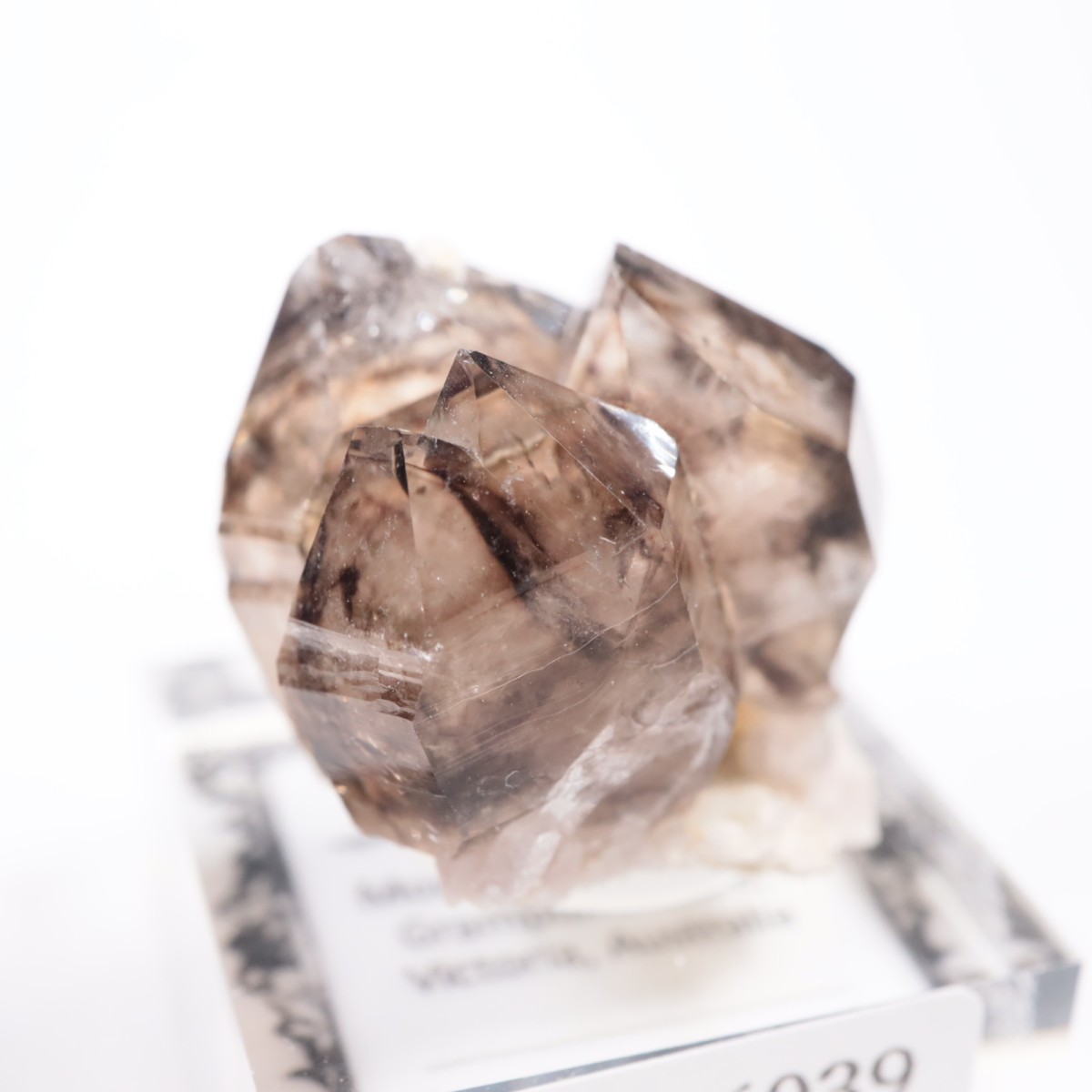 �������ȥ�ꥢ�� ����徽