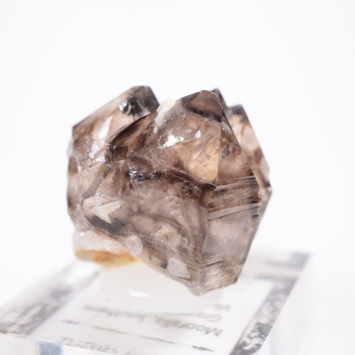 �������ȥ�ꥢ�� ����徽