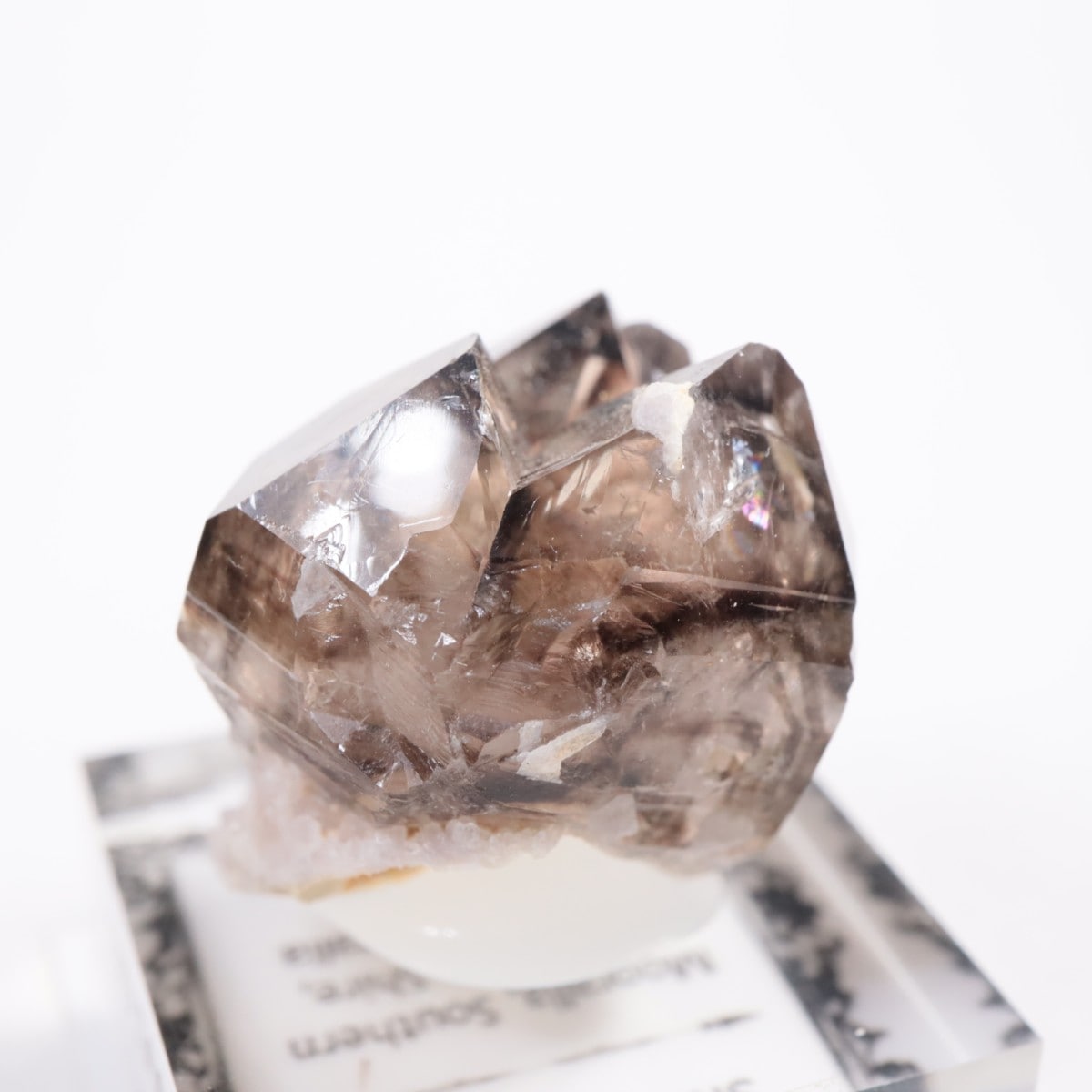 �������ȥ�ꥢ�� ����徽